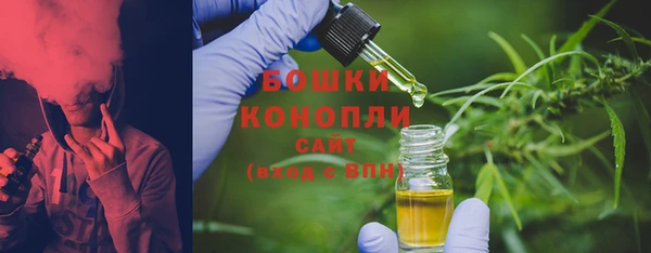 PSILOCYBIN Балахна